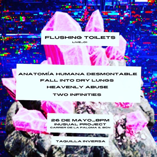 Flushing Toilets Live #1 @ Inusual Project, Barcelona, SPAIN