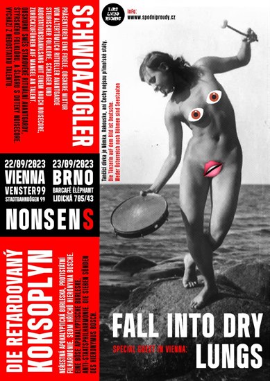 Die Retardovany Koksoplyn VS Schwoazogler & Fall Into Dry Lungs @ Venster99, Vienna